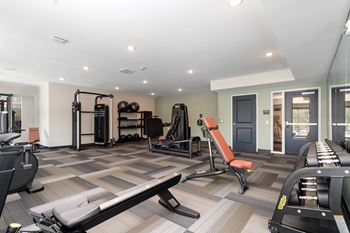 Free weights